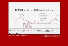 CYBIRD GROUP