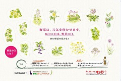 野菜の日